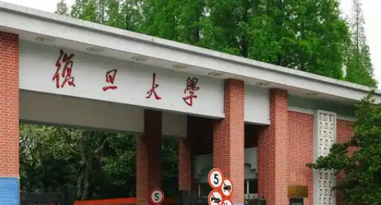 上海985，又成立母基金了